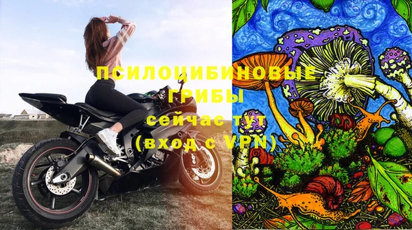 гидра Губаха