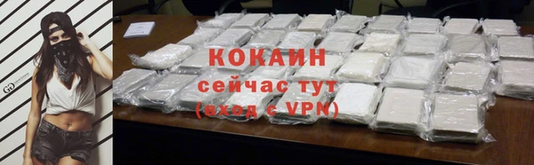 шишки Медногорск