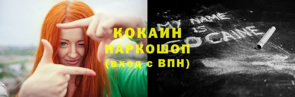 шишки Медногорск