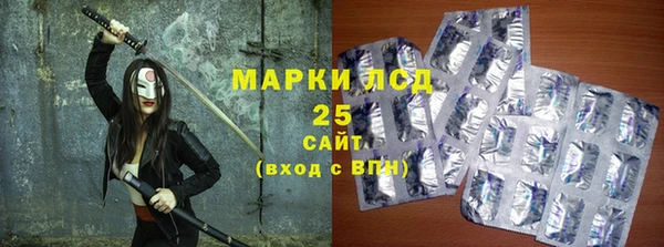 гашик Грязовец