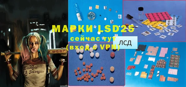 шишки Медногорск