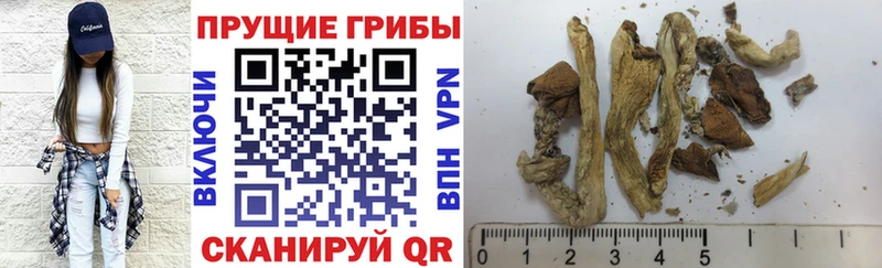 Галлюциногенные грибы ЛСД  Мглин 